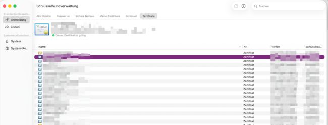 E-Mail SSL-Zertifikate einbinden in Outlook 2019 (macOS 10.14) (2).png