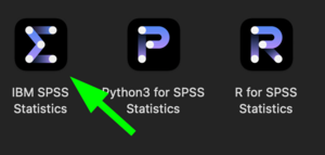 Spss-macos-08.png